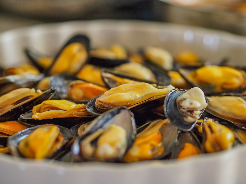 camping Bretagne avec snack